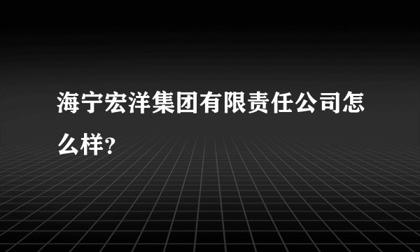 海宁宏洋集团有限责任公司怎么样？
