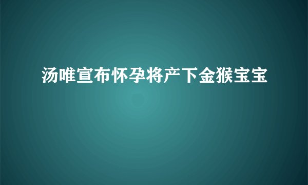 汤唯宣布怀孕将产下金猴宝宝