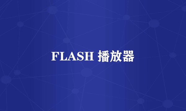 FLASH 播放器