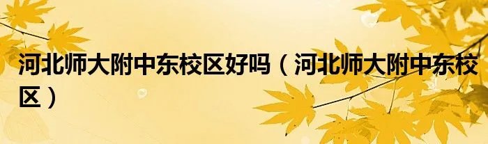 河北师大附中东校区好吗（河北师大附中东校区）