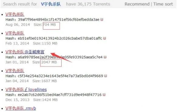 storetorrent官网