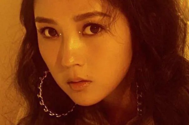 何洁十大热门歌曲排行榜:《小永远》上榜,第三催人泪下