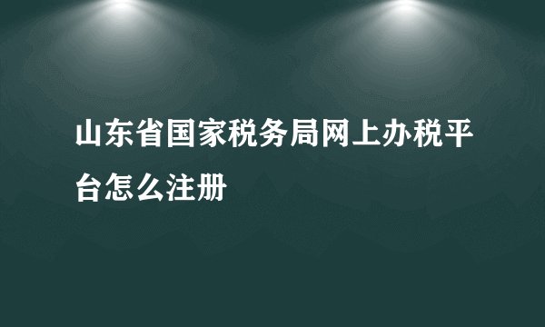山东省国家税务局网上办税平台怎么注册
