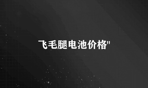 飞毛腿电池价格