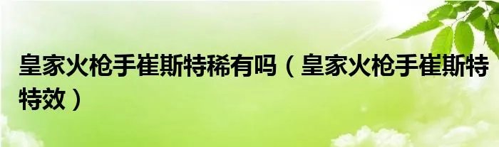 皇家火枪手崔斯特稀有吗（皇家火枪手崔斯特特效）