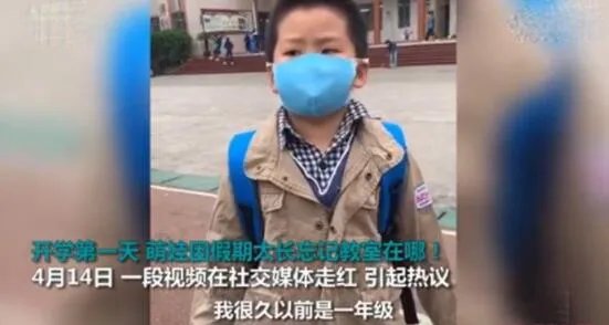 因假期太长忘记教室在哪 萌娃一句话笑哭网友!