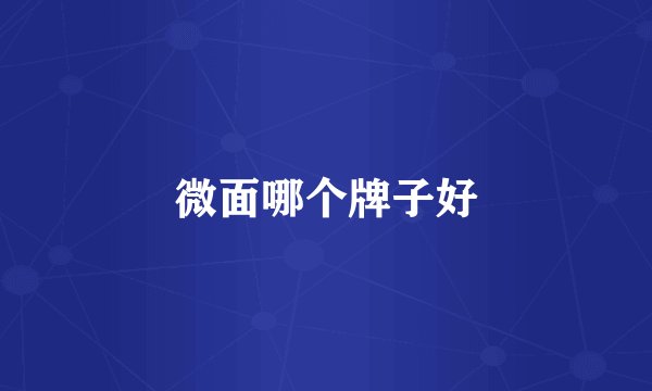 微面哪个牌子好
