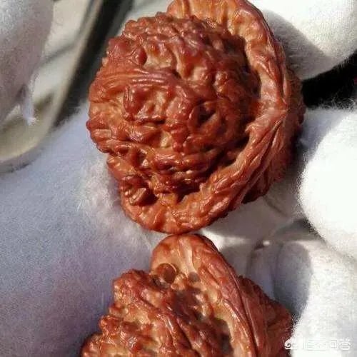 如何挑选文玩核桃?