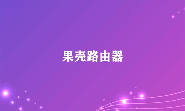 果壳路由器