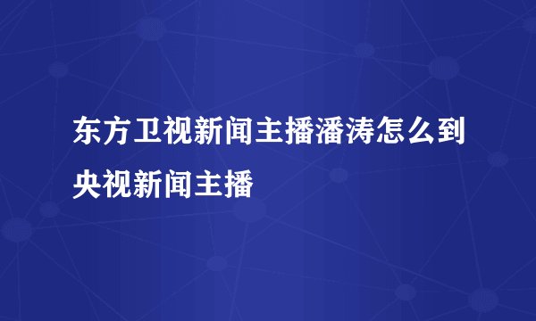 东方卫视新闻主播潘涛怎么到央视新闻主播