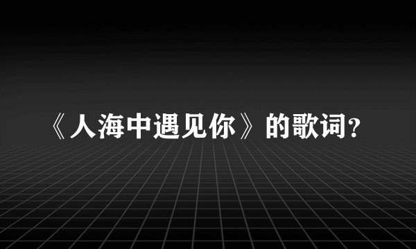 《人海中遇见你》的歌词？