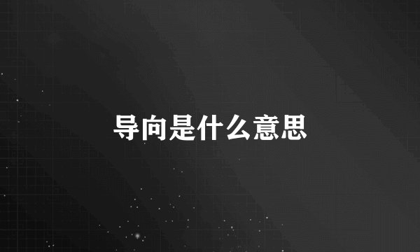 导向是什么意思