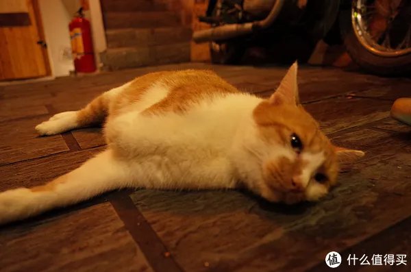 理光数码相机