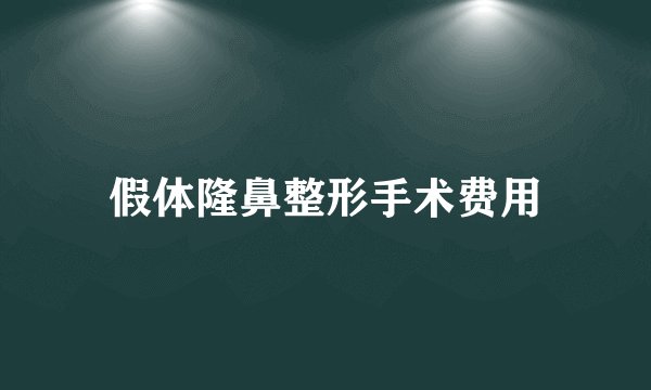假体隆鼻整形手术费用