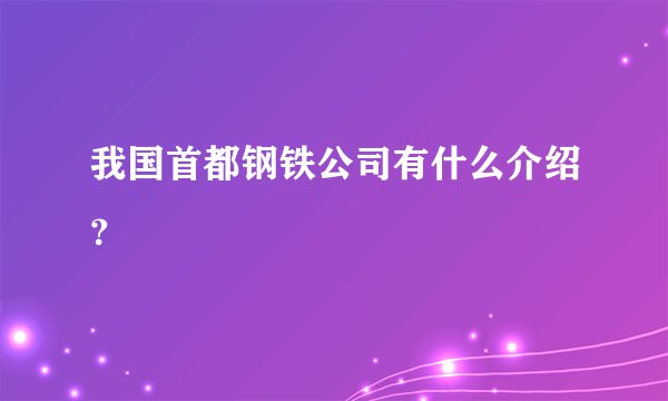 我国首都钢铁公司有什么介绍?