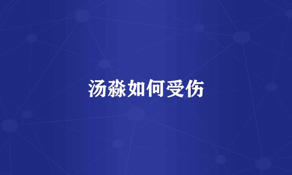 汤淼如何受伤