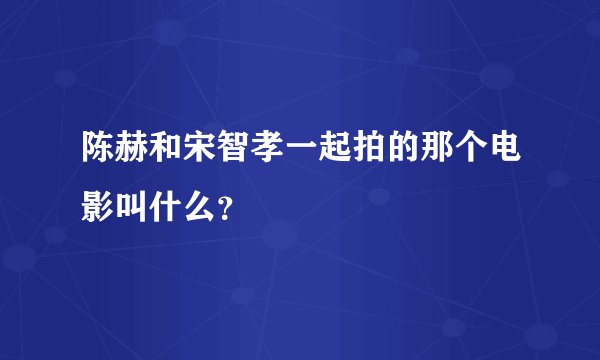 陈赫和宋智孝一起拍的那个电影叫什么？