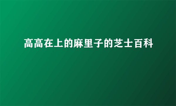 高高在上的麻里子的芝士百科