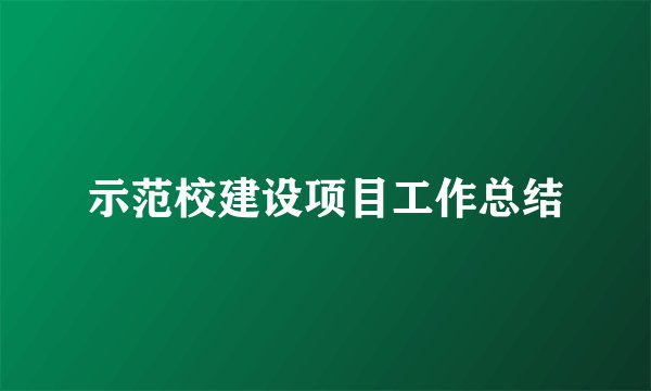 示范校建设项目工作总结