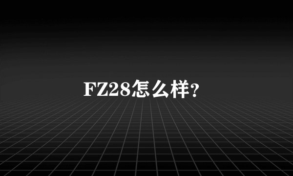 FZ28怎么样?