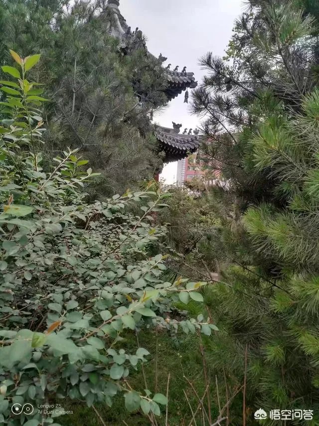 如何评价有人说罗永浩发布会总是迟到?