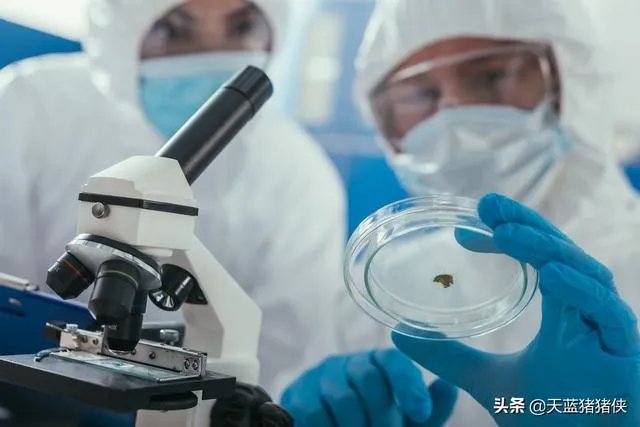 石家庄封城第一个七天快结束了,接下来会是什么样?