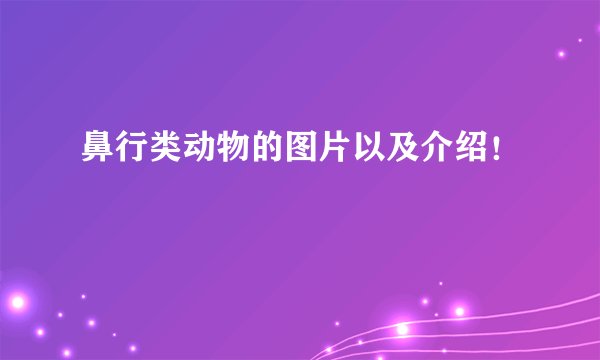 鼻行类动物的图片以及介绍！