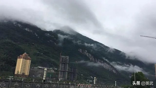 如何看待每日三餐全靠外卖,年轻姑娘血浆变成猪油色这一则新闻?