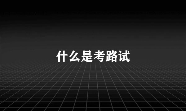 什么是考路试