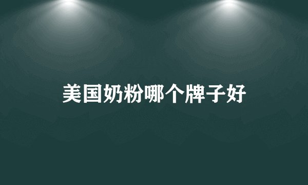 美国奶粉哪个牌子好