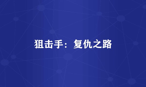 狙击手:复仇之路