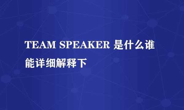 TEAM SPEAKER 是什么谁能详细解释下