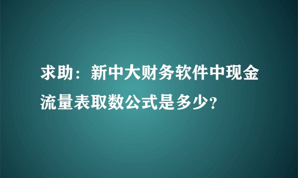 求助：新中大财务软件中现金流量表取数公式是多少？