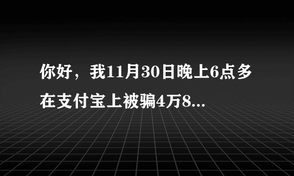 你好，我11月30日晚上6点多在支付宝上被骗4万8千元，已经在北京派出所报警了，现在还可以在网上找网络警察在报一次案吗？