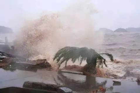 台风“黑格比”浙江乐清登陆,台风来临我们如何自我保护?