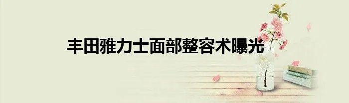 丰田雅力士面部整容术曝光