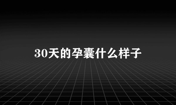 30天的孕囊什么样子