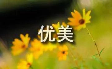 寒冬腊梅优美句子