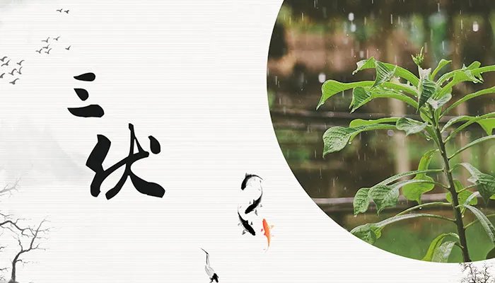 三伏天从什么时候开始 三伏天从哪一天开始