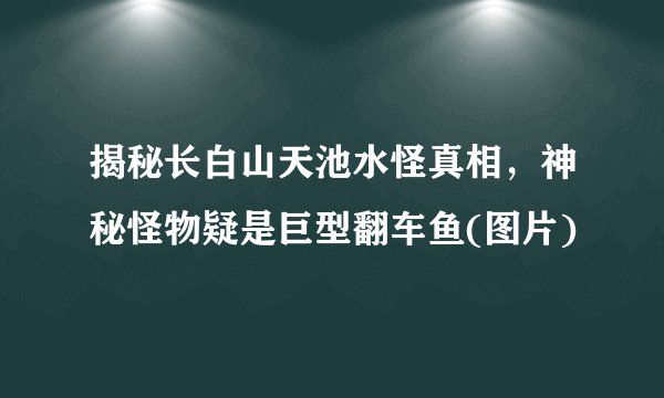 揭秘长白山天池水怪真相，神秘怪物疑是巨型翻车鱼(图片)