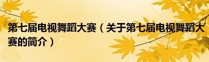 第七届电视舞蹈大赛（关于第七届电视舞蹈大赛的简介）