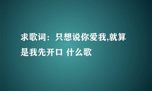 求歌词:只想说你爱我,就算是我先开口 什么歌