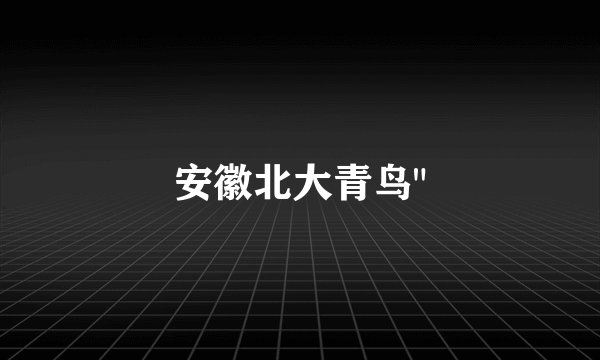安徽北大青鸟