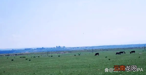 留恋往返什么意思是什么