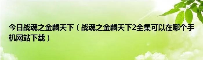 今日战魂之金麟天下（战魂之金麟天下2全集可以在哪个手机网站下载）