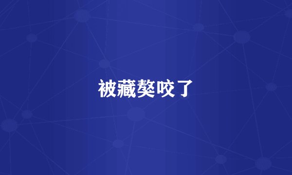 被藏獒咬了