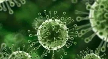 白宫医生:拜登或感染BA.5变异株,此类毒株特点是什么?