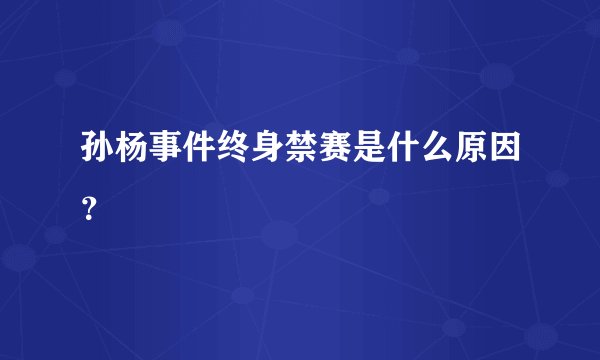孙杨事件终身禁赛是什么原因？