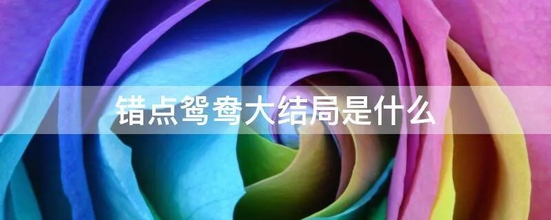 错点鸳鸯大结局是什么