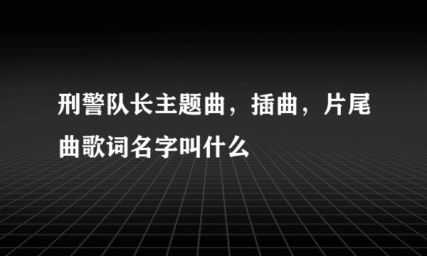 刑警队长主题曲,插曲,片尾曲歌词名字叫什么